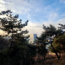 우면산둘레길 이미지