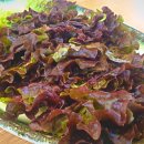 큰집보쌈 이미지