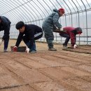 태극태권도 이미지