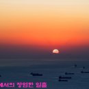 백야도 등대 Daum카페