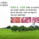 임고집 한우＆보쌈마을 네이버블로그