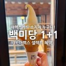 [북촌] 백미당 : 아멕스 카드로 아이스크림 1+1 먹는방법(ft.아멕스 셀렉트 혜택)