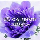 일인 이미지