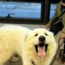옥정숲속어린이집 이미지