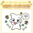 댕댕미미 네이버블로그