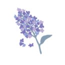 창의보드게임 이미지