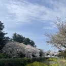 함덕은서네 이미지