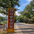 십리벚꽃산장 이미지