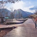 생태체험학습장 야영장 이미지