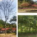 챔피온골프장 이미지