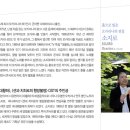 힐링 오카리나 이미지