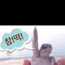 2026년 6월 14일 일요일 18시 (다산역앞) 이미지