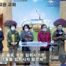 새보라목장 이미지
