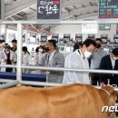 화순축산업협동조합 뉴스1