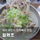 일억조 | 진짜 너무너무 맛있었던 제주 향토음식, 접짝뼈국 맛집ㅣ일억조 내돈내산 후기
