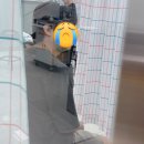 서울성심병원 응급실 후기(고대안암병원은 못 갔..)