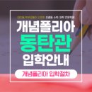 개념폴리아동탄관학원