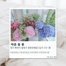 꽃마음 | [동탄] 동탄꽃집 마음 둘 꽃 솔직후기