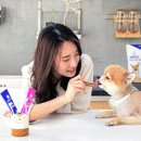 뷰티펫 이미지