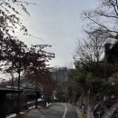 삼천당구클럽 | 충청북도 리솜포레스트 s25 (밥집 제천시락국 들밥애 몬도키친)