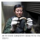 역전짚불곰장어