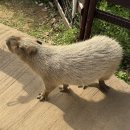 견상낙원 | 오키나와 동남식물낙원ㅣ방문후기 중부 가볼만한곳