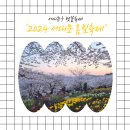 GS25연희타운 | 서울 벚꽃놀이 명소 서대문 연희숲속쉼터 4월 중순 기준