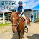 크린에이드제주표선점 | 표선 가볼만한곳 제주 목장 카페 드르쿰다 승마체험 카트체험