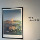 레알피부전문동물병원 네이버블로그