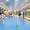 조한태권도장 이미지