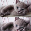 부산적십자회관 이미지