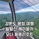 용문3급카클리닉 | [강원도/평창] 평창여행 환상적인 마운틴 뷰 해발 1458m &#39;발왕산 케이블카&#39; 이용후기, 평창 여행장소 추천