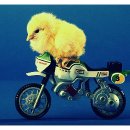 더존게임 이미지