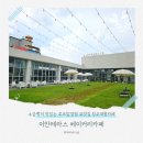이안빌딩 | 청주 이안테라스 루프탑 잔디가 예쁜 소금빵 맛집 대형카페