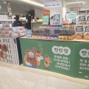 피에스23 | [부산 서면] 롯데백화점 서면점 팝업 근황 🛍️ 박뚜기소금빵·구오육즙만두·디저트 총정리
