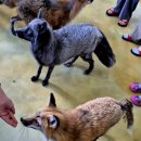 마리앤쥬 이미지