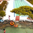 동양당구장 네이버블로그