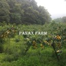 일죽농장 이미지