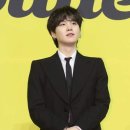 슈가커리어