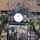 쓰담쓰담해줄개 | 5살 아이와 함께 다녀온 송도 실내 동물원 , 테이블에이 앤 로우캣 체험 후기