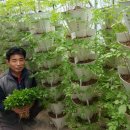 초이스농장 이미지