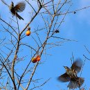 높고 푸른 하늘 이미지