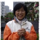 행정사법인 느티나무 | [참여연대 느티나무 강연후기] 민주노동당 이정희 의원님의 강의를 듣고