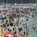 해운대해수욕장 이미지