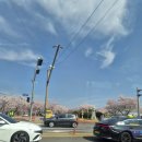 경주, 머물다4 | 경주여행 1일차 일정 총정리 뚜벅이 코스부터 맛집까지 완벽 가이드