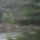 초록세상 이미지