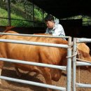 함안축산업협동조합 이미지