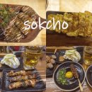 강원도 속초 여행 술집 추천 토리아에즈+백수씨 심야식당 후기 !