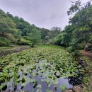 노을숲제주 이미지