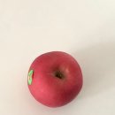 게으름의 낭만 이미지